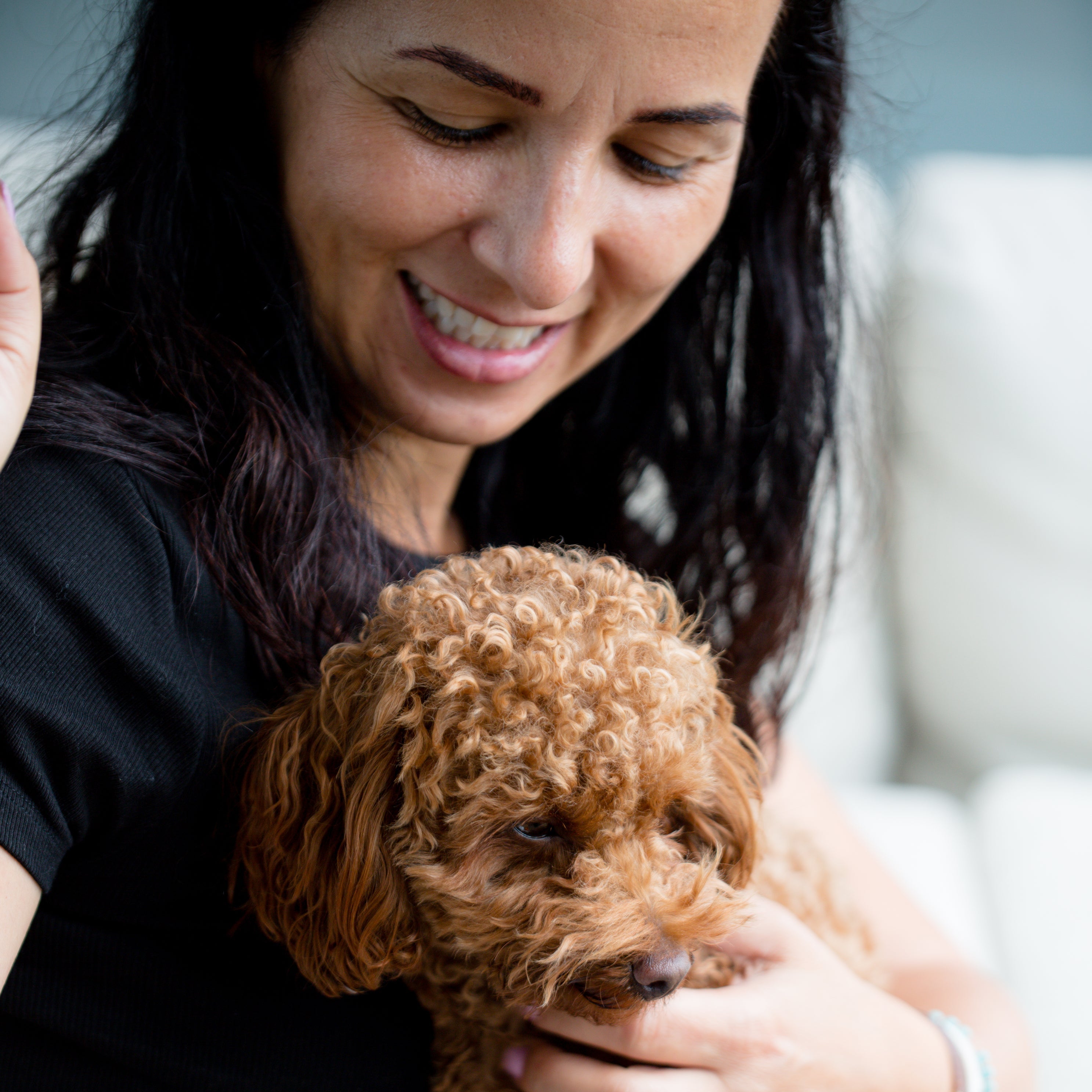 Pet lovers